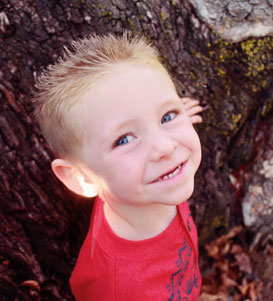 网页DDOS攻击平台